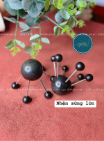 NHỆN SỪNG LỚN - Ảnh 4