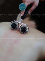 LĂN ĐINH ĐÔI LỚN - Ảnh 5