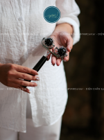 LĂN ĐINH ĐÔI LỚN