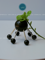 NHỆN SỪNG LỚN - Ảnh 2