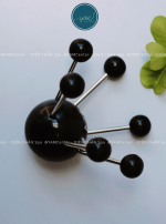 NHỆN SỪNG LỚN - Ảnh 3