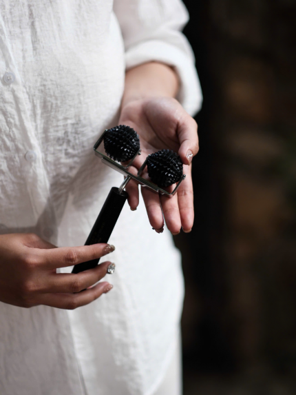 Cây Lăn Cầu Gai Đôi (Cây Lăn Cầu Đinh Đôi)