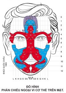 Diện Chẩn Spa YAM Center - Diện Chẩn Massage - Chữa Đau Cổ Vai Gáy