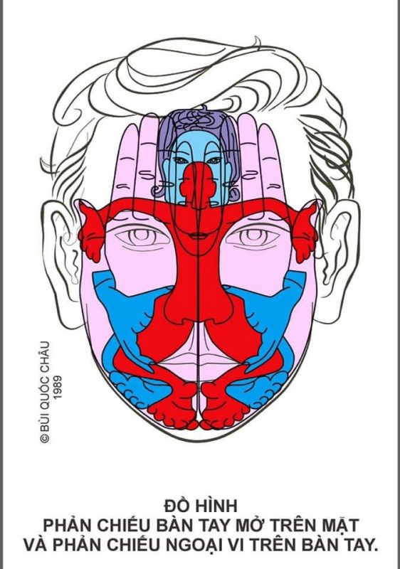 Diện Chẩn Spa YAM Center- Diện Chẩn Massage - Đồ Hình Diện Chẩn