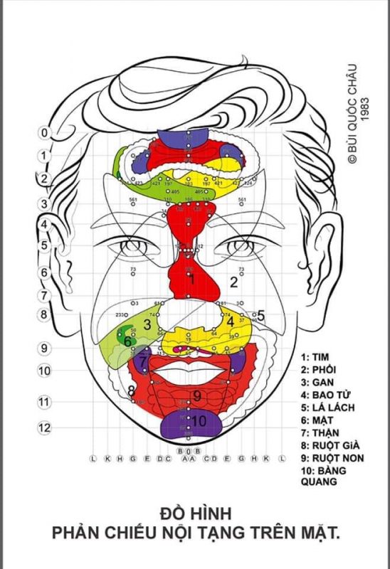 Diện Chẩn Spa YAM Center - Diện Chẩn Massage - Đồ Hình Diện Chẩn