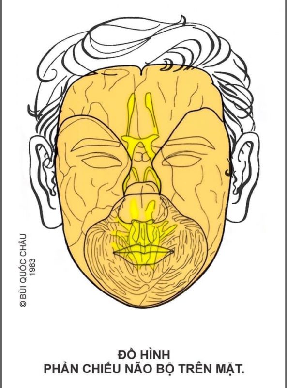 Diện Chẩn Spa YAM Center - Diện Chẩn Massage - Đồ Hình Diện Chẩn