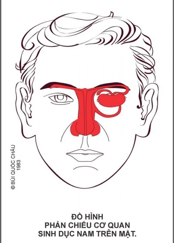 Diện Chẩn Spa YAM Center - Diện Chẩn Massage - Đồ Hình Diện Chẩn