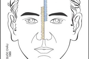 Diện Chẩn Spa YAM Center - Diện Chẩn Massage - Đồ Hình Diện Chẩn