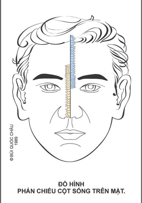 Diện Chẩn Spa YAM Center - Diện Chẩn Massage - Đồ Hình Diện Chẩn