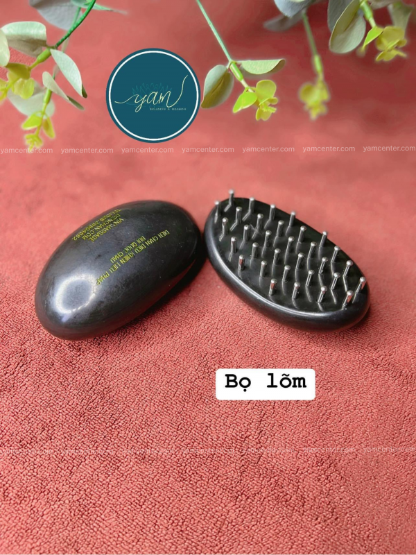 Con Bọ Lõm Diện Chẩn