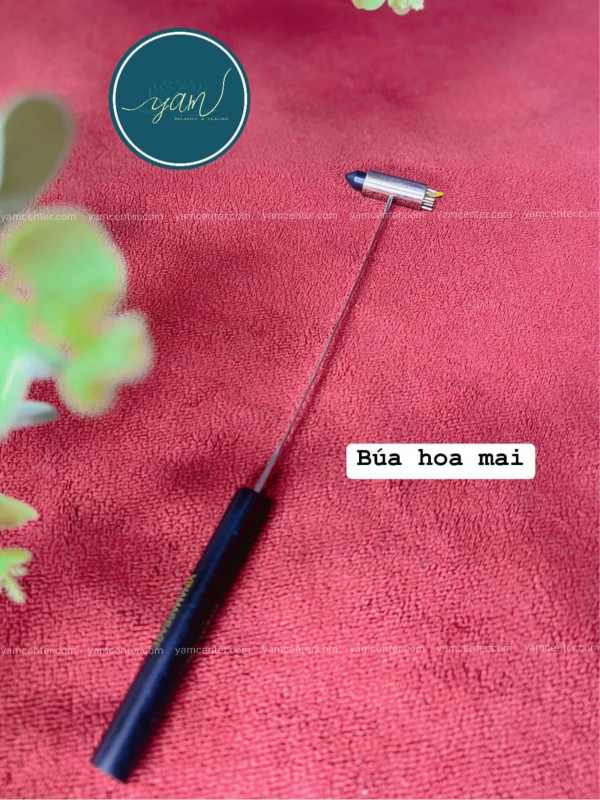 Búa Hoa Mai Diện Chẩn