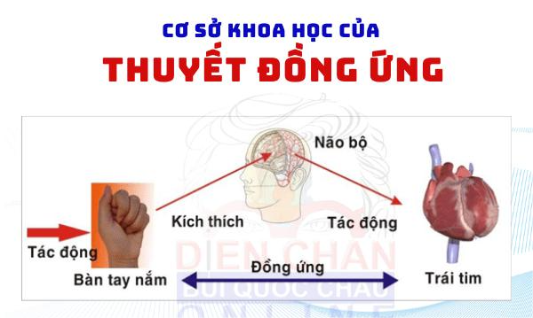 Diện Chẩn Spa YAM Center - Massage Diện Chẩn - Thuyết Diện Chẩn