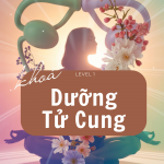 KHÓA HỌC DƯỠNG TỬ CUNG – LEVEL 1