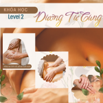 KHÓA HỌC DƯỠNG TỬ CUNG – LEVEL 2