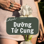 KHÓA HỌC DƯỠNG TỬ CUNG – LEVEL 2